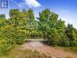 2421 14TH LINE EAST ACRES E, Trent Hills, Ontario, K0L1L0 (ID X13646494)