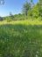 2421 14TH LINE EAST ACRES E, Trent Hills, Ontario, K0L1L0 (ID X13646494)
