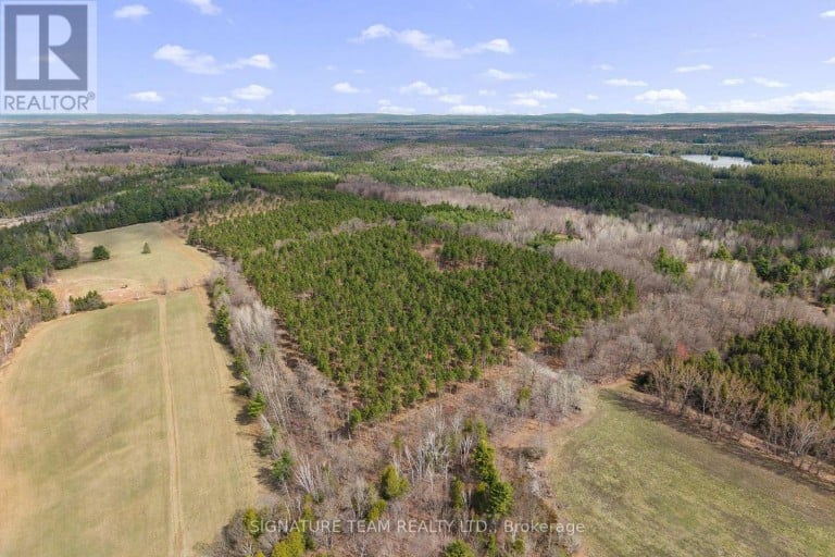 359 DITTBURNER ROAD, Whitewater Region, Ontario, K0J1V0 (ID X13647648)