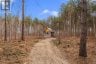 359 DITTBURNER ROAD, Whitewater Region, Ontario, K0J1V0 (ID X13647648)