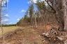 359 DITTBURNER ROAD, Whitewater Region, Ontario, K0J1V0 (ID X13647648)