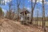 359 DITTBURNER ROAD, Whitewater Region, Ontario, K0J1V0 (ID X13647648)