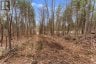 359 DITTBURNER ROAD, Whitewater Region, Ontario, K0J1V0 (ID X13647648)