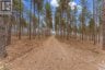 359 DITTBURNER ROAD, Whitewater Region, Ontario, K0J1V0 (ID X13647648)