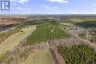 359 DITTBURNER ROAD, Whitewater Region, Ontario, K0J1V0 (ID X13647648)