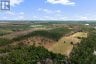 359 DITTBURNER ROAD, Whitewater Region, Ontario, K0J1V0 (ID X13647648)