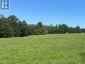 359 DITTBURNER ROAD, Whitewater Region, Ontario, K0J1V0 (ID X13647648)