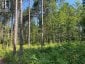 359 DITTBURNER ROAD, Whitewater Region, Ontario, K0J1V0 (ID X13647648)