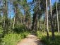 359 DITTBURNER ROAD, Whitewater Region, Ontario, K0J1V0 (ID X13647648)