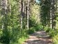 359 DITTBURNER ROAD, Whitewater Region, Ontario, K0J1V0 (ID X13647648)