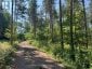 359 DITTBURNER ROAD, Whitewater Region, Ontario, K0J1V0 (ID X13647648)