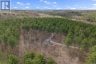359 DITTBURNER ROAD, Whitewater Region, Ontario, K0J1V0 (ID X13647648)