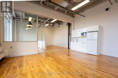 201B - 219 DUFFERIN STREET Toronto (South Parkdale) Ontario photo 2