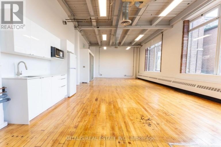 201B - 219 DUFFERIN STREET, Toronto (South Parkdale), Ontario, M6K1J1