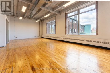 201B - 219 DUFFERIN STREET Toronto (South Parkdale) Ontario photo 5