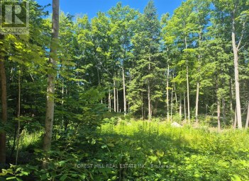 68 BEAUREMI ROAD Tiny Ontario photo 18