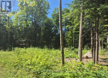 68 BEAUREMI ROAD Tiny Ontario photo 19