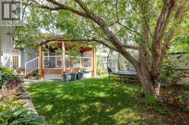 179 Capri Avenue NW Calgary Alberta photo 47