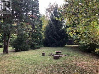 14 AVONHURST ROAD Toronto (Islington-City Centre West) Ontario photo 4