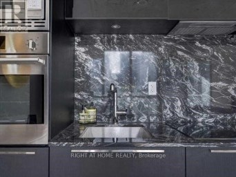 1111 - 88 BLUE JAYS WAY Toronto (Waterfront Communities) Ontario photo 13