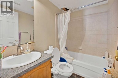 155 Taralea Gardens NE Calgary Alberta photo 31