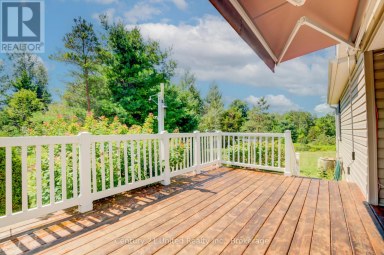 5046 COUNTY ROAD 25 Trent Hills Ontario photo 31