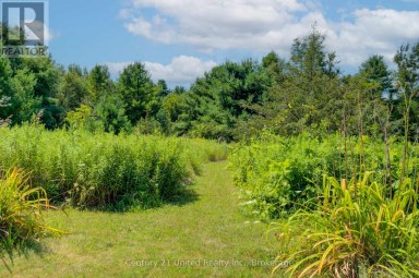 5046 COUNTY ROAD 25 Trent Hills Ontario photo 38