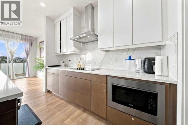 303 Cornerbrook Drive NE Calgary Alberta photo 17