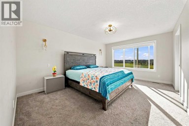 303 Cornerbrook Drive NE Calgary Alberta photo 24