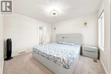 303 Cornerbrook Drive NE Calgary Alberta photo 30