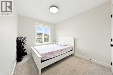 303 Cornerbrook Drive NE Calgary Alberta photo 33