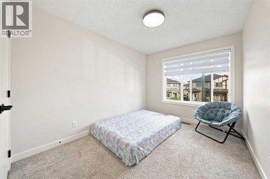 303 Cornerbrook Drive NE Calgary Alberta photo 34