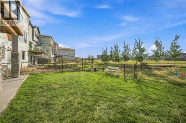 303 Cornerbrook Drive NE Calgary Alberta photo 37