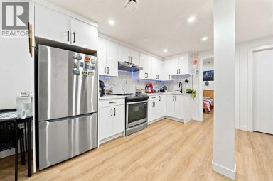 303 Cornerbrook Drive NE Calgary Alberta photo 40