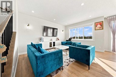 303 Cornerbrook Drive NE Calgary Alberta photo 9