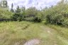 290 PUCKER STREET, Horton, Ontario, K7V3Z9 (ID X13653610)