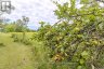 290 PUCKER STREET, Horton, Ontario, K7V3Z9 (ID X13653610)