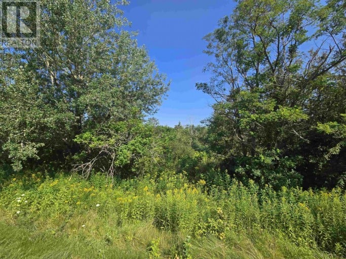 Center Line Road, St. Lawrence, Prince Edward Island (id 202620042)