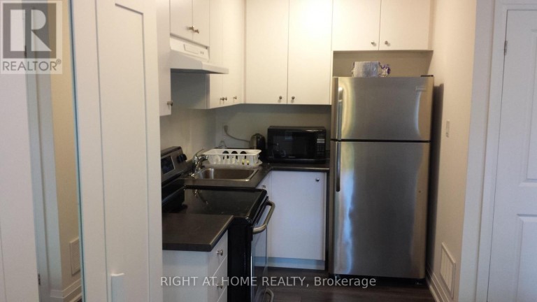 BASEMENT - 39 STALLIBRASS LANE S, Richmond Hill (South Richvale), Ontario, L4C2M8