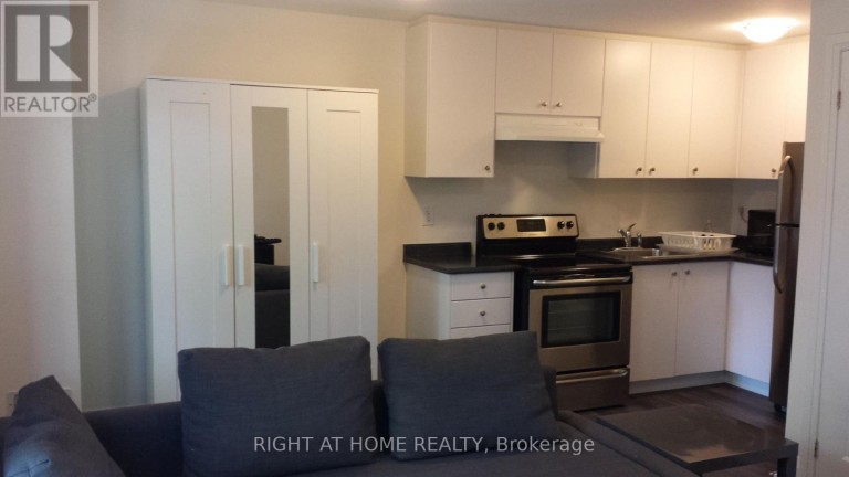 BASEMENT - 39 STALLIBRASS LANE S, Richmond Hill (South Richvale), Ontario, L4C2M8