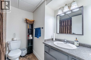 44 Templehill Drive NE Calgary Alberta photo 23