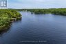 1048 WEST BLACK LAKE ROAD, Muskoka Lakes (wood (muskoka Lakes)), Ontario, P0C1M0 (ID X13654668)