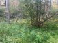 Lot Swimming Pool Road, Welshpool, New Brunswick, E5E1H5 (ID NB145589)