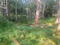 Lot Swimming Pool Road, Welshpool, New Brunswick, E5E1H5 (ID NB145589)