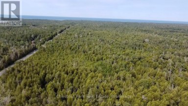 PT LT 6 PIKE BAY ROAD Northern Bruce Peninsula Ontario photo 11