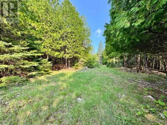 PT LT 6 PIKE BAY ROAD Northern Bruce Peninsula Ontario photo 13