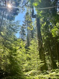 PT LT 6 PIKE BAY ROAD Northern Bruce Peninsula Ontario photo 3