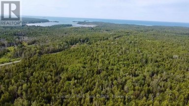 PT LT 6 PIKE BAY ROAD Northern Bruce Peninsula Ontario photo 9