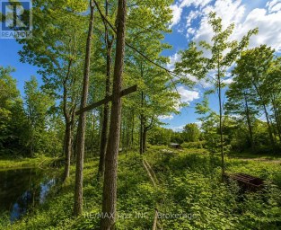 1091A CRYSTAL LAKE ROAD Trent Lakes Ontario photo 3