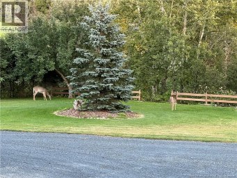 438 Titus Road Saint-Joseph-De-Madawaska New Brunswick photo 41